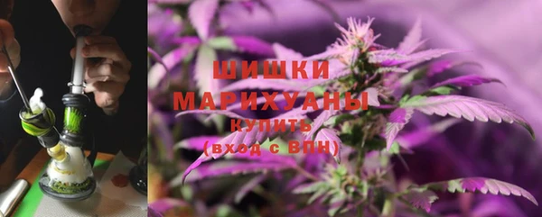 эйфоретик Каменногорск