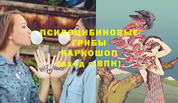 СК Каменск-Шахтинский