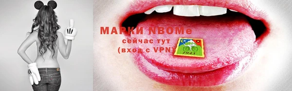 Альфа ПВП Инсар