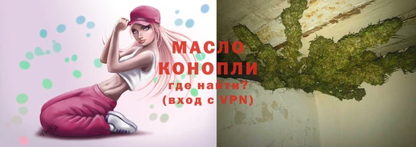 Альфа ПВП Инсар