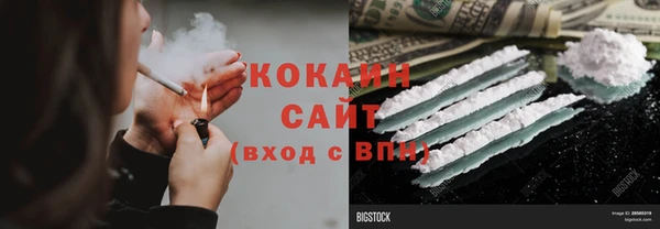 Альфа ПВП Инсар