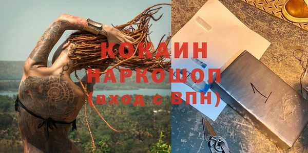 Альфа ПВП Инсар